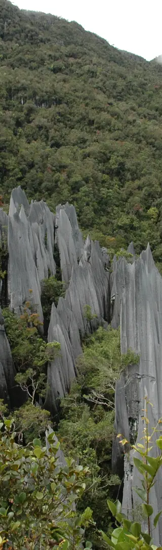 Wanderung zu den Pinnacles